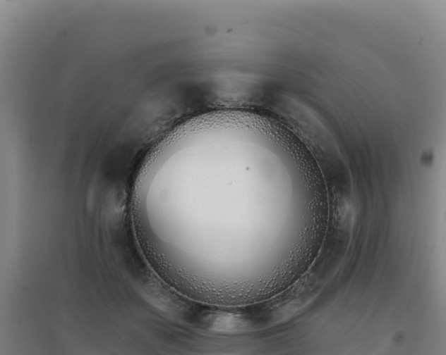 X0000096720507200802121251