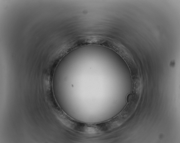 X0000096720510200802121251