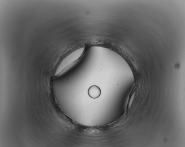 X0000096720512200802121251