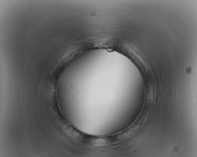 X0000096720513200802121251