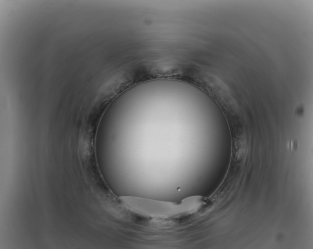 X0000096720515200802121251