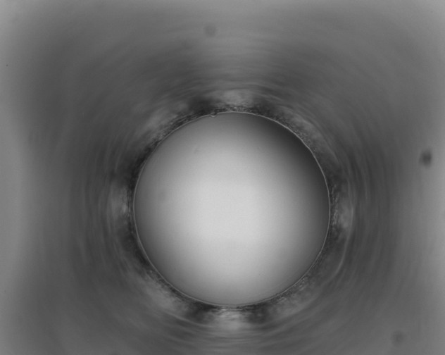 X0000096720518200802121251