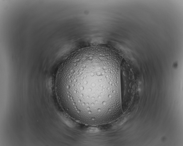 X0000096720519200802121251