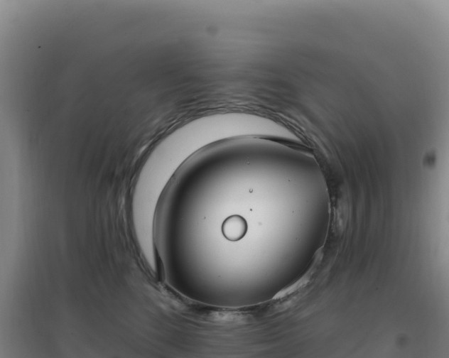 X0000096720520200802121251