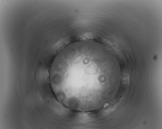 X0000096720523200802121251