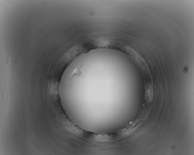 X0000096720525200802121251