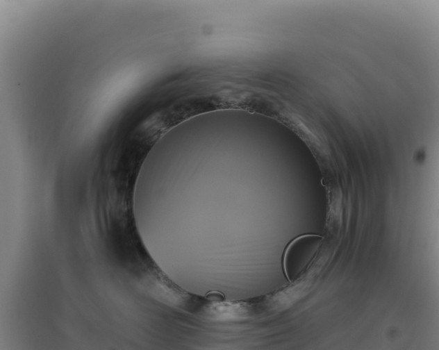 X0000096720526200802121251
