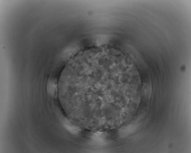 X0000096720527200802121251