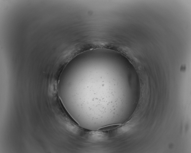 X0000096720528200802121251