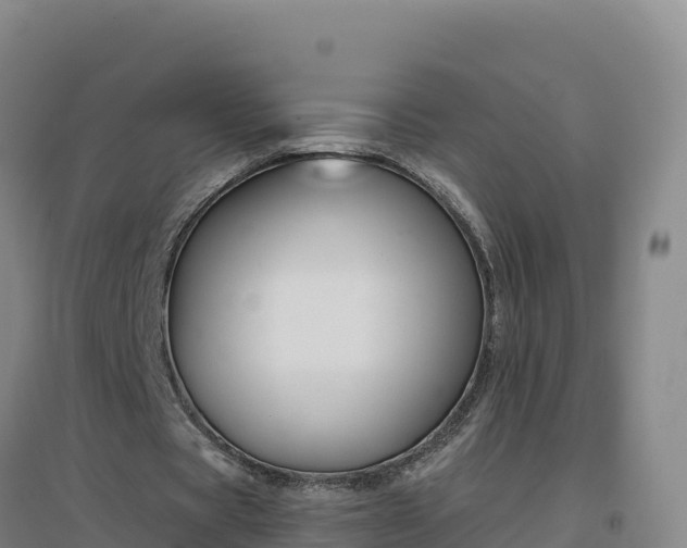 X0000096720529200802121250
