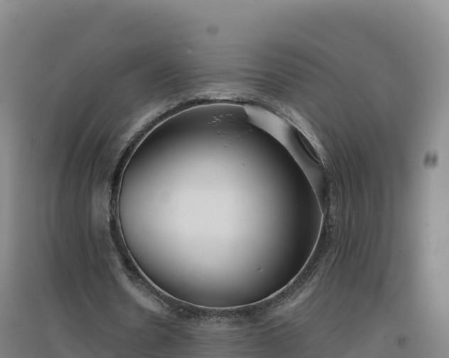 X0000096720530200802121250