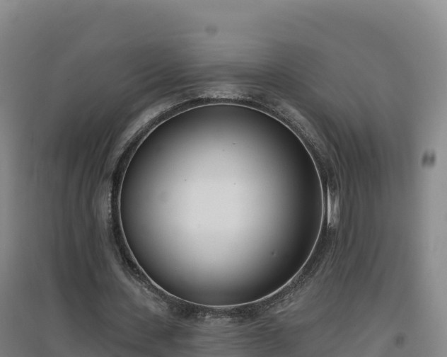 X0000096720531200802121250