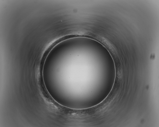 X0000096720532200802121250