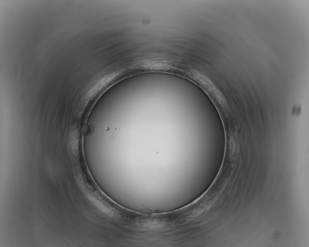 X0000096720533200802121250