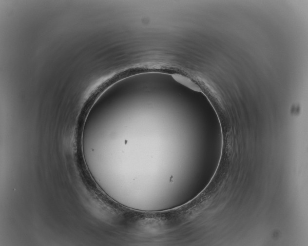 X0000096720536200802121250