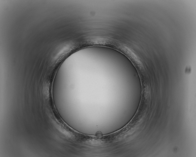 X0000096720537200802121250