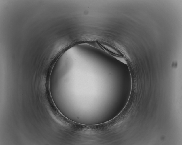 X0000096720538200802121250
