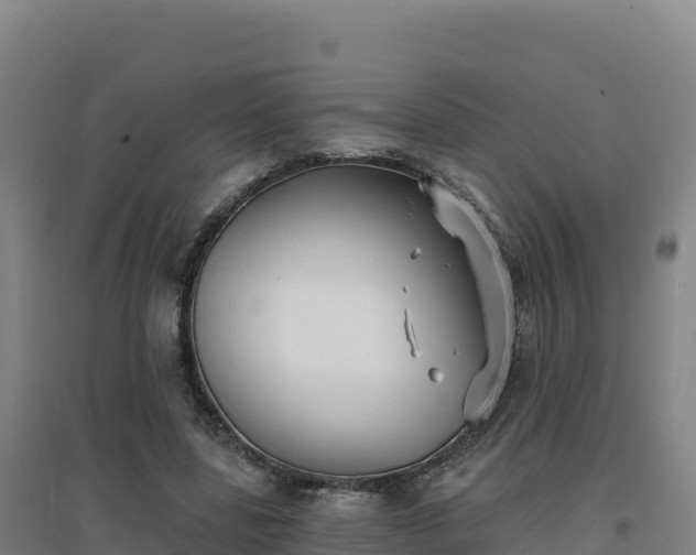 X0000096720539200802121250