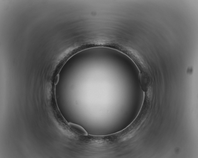 X0000096720540200802121250