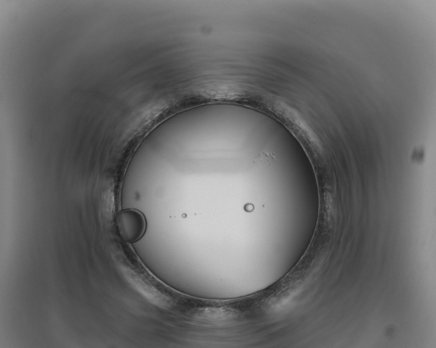 X0000096720541200802121250