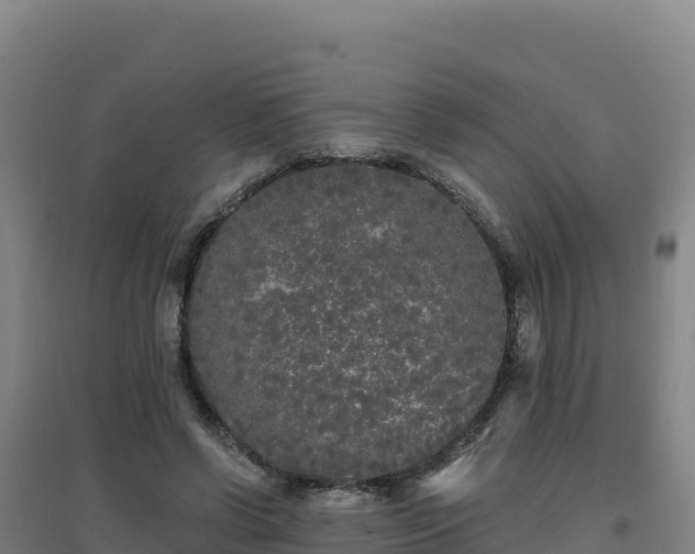 X0000096720542200802121250