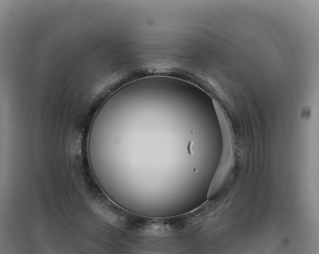 X0000096720543200802121250