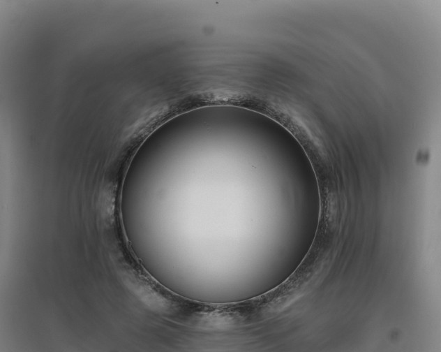 X0000096720545200802121250