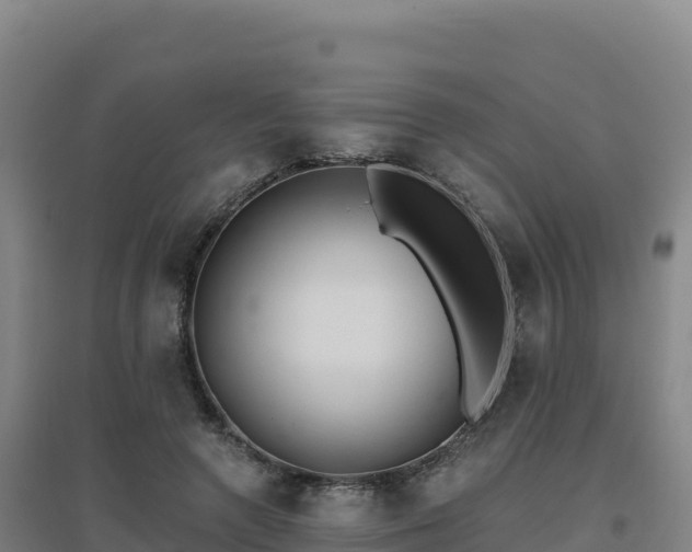 X0000096720546200802121250
