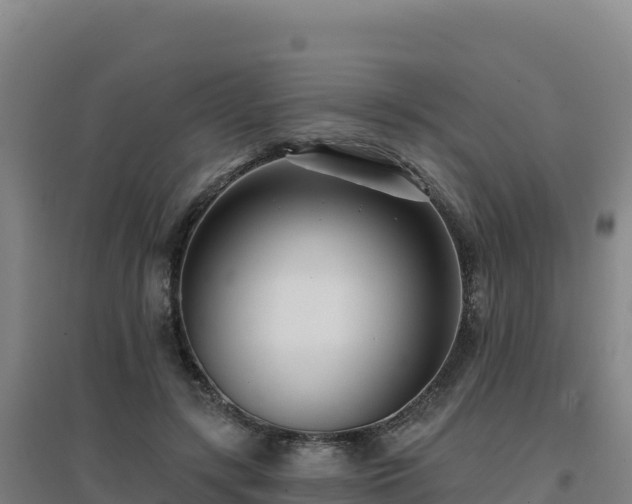 X0000096720547200802121250