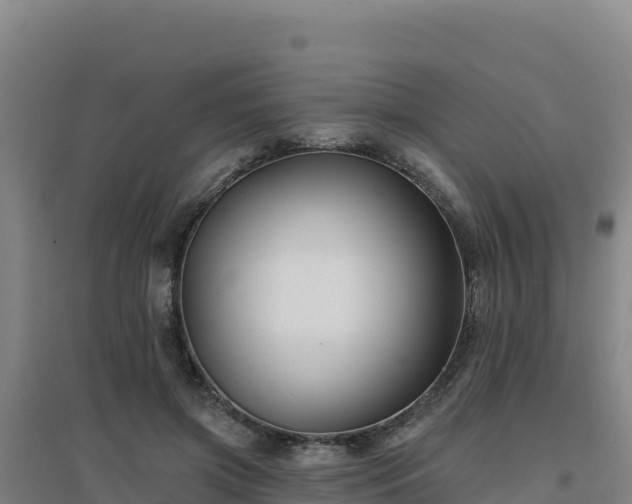 X0000096720549200802121250