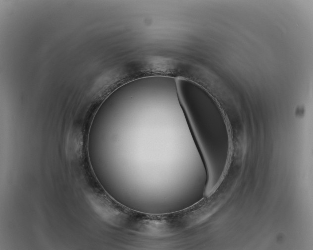 X0000096720552200802121250