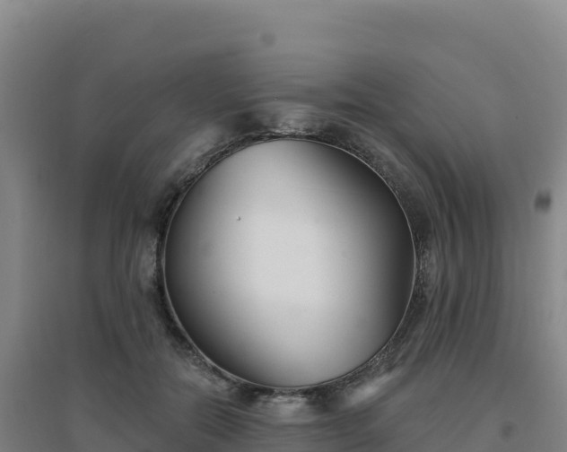 X0000096720554200802121250