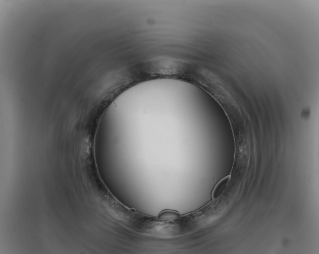 X0000096720555200802121250