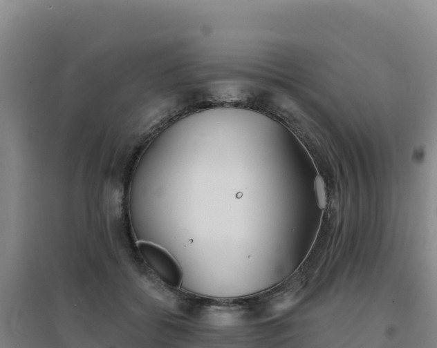 X0000096720556200802121250