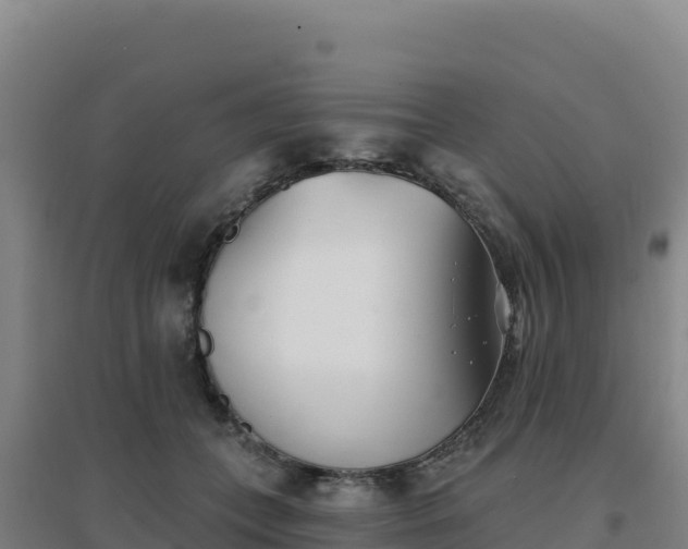 X0000096720559200802121250