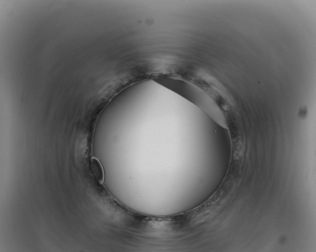 X0000096720560200802121250