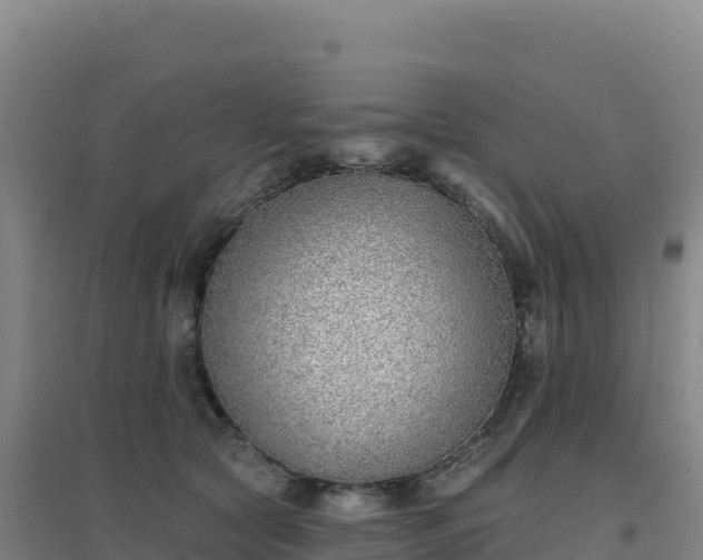 X0000096720561200802121250