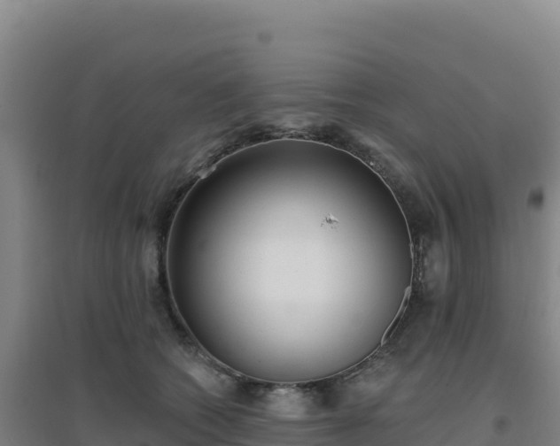 X0000096720562200802121250