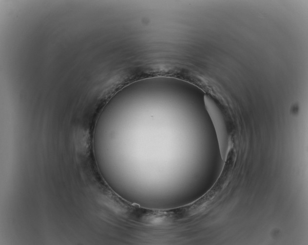 X0000096720563200802121250