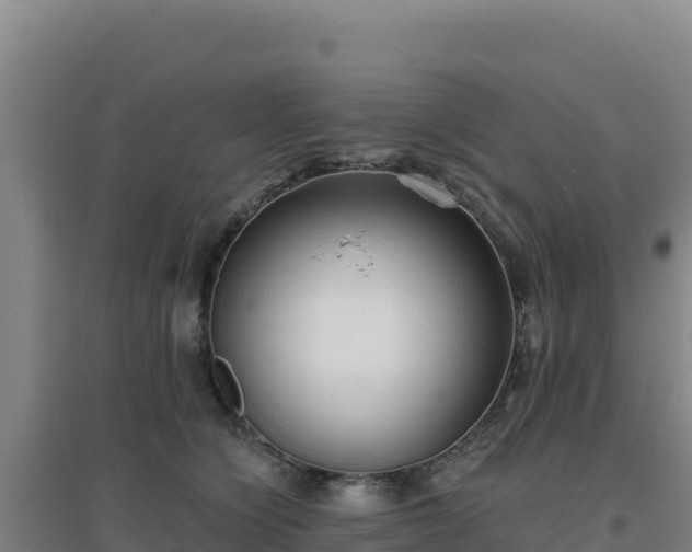 X0000096720564200802121250