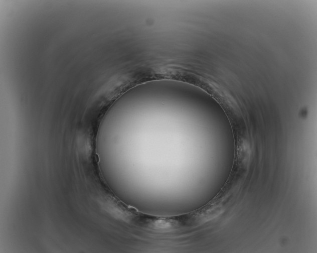 X0000096720566200802121251