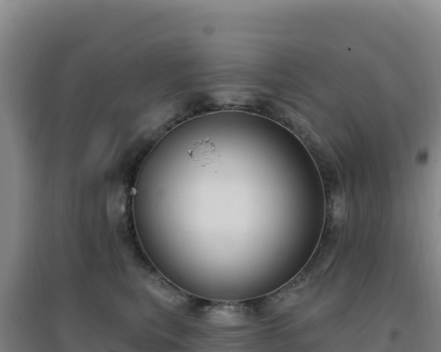 X0000096720567200802121251
