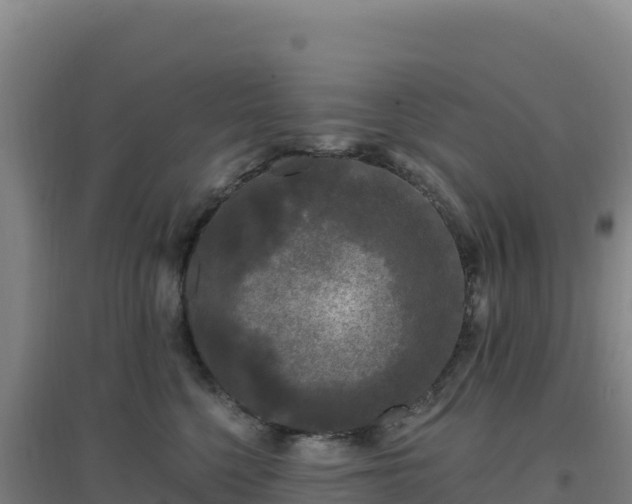 X0000096720568200802121251