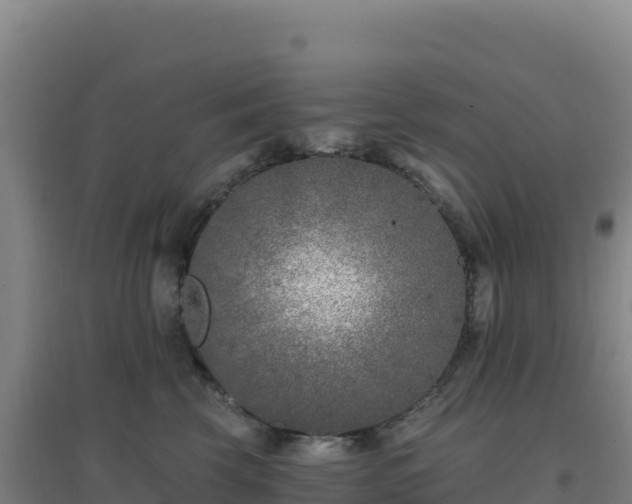 X0000096720569200802121251