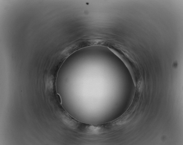 X0000096720570200802121251