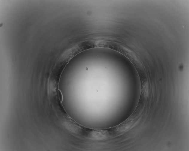 X0000096720571200802121251