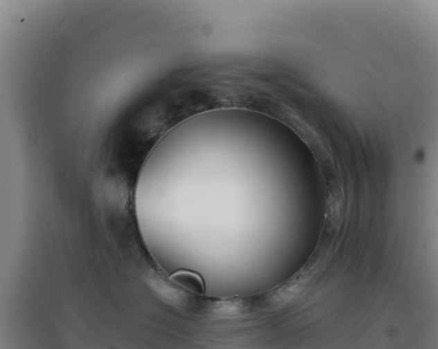 X0000096720574200802121251