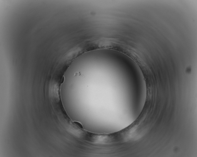 X0000096720575200802121251
