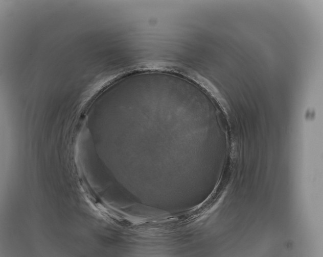 X0000096720577200802121250