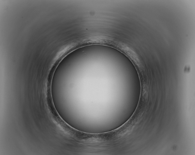 X0000096720578200802121250